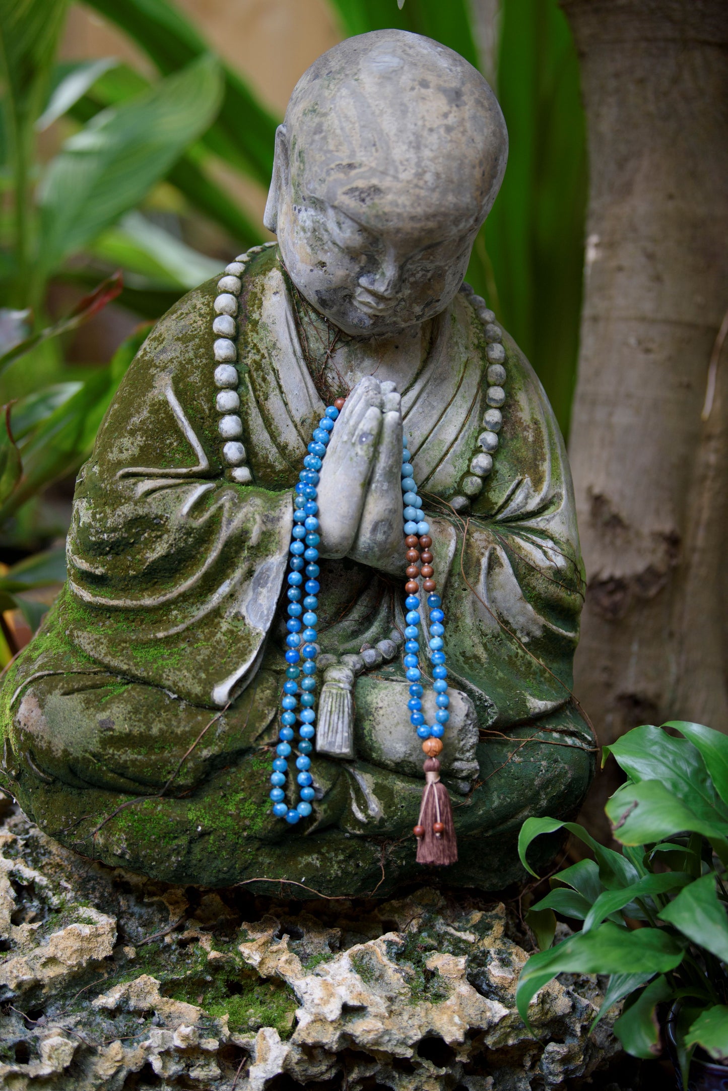 Clarity Mala